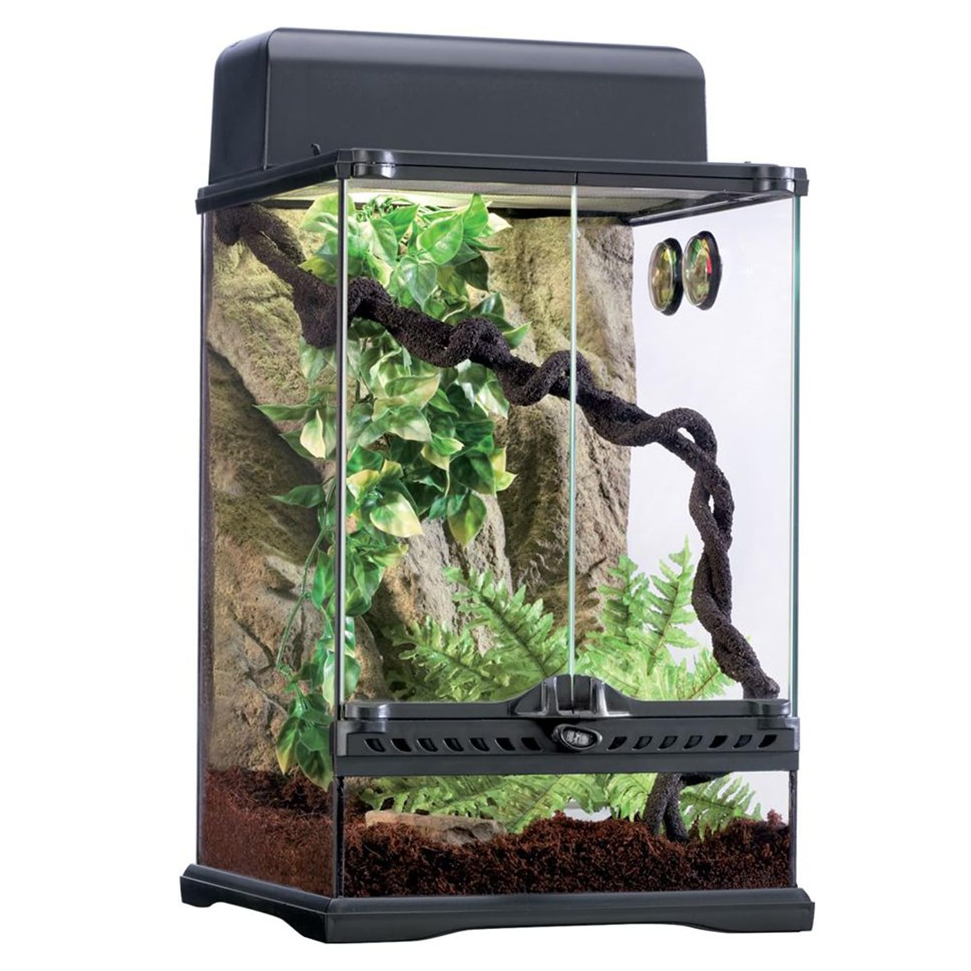 Amazon.com : Exo Terra Rainforest Habitat Kit For Reptile